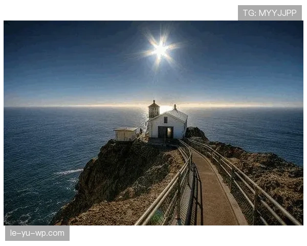 诺维奇金丝雀新赛季启航：希望与挑战并存，状态成焦点