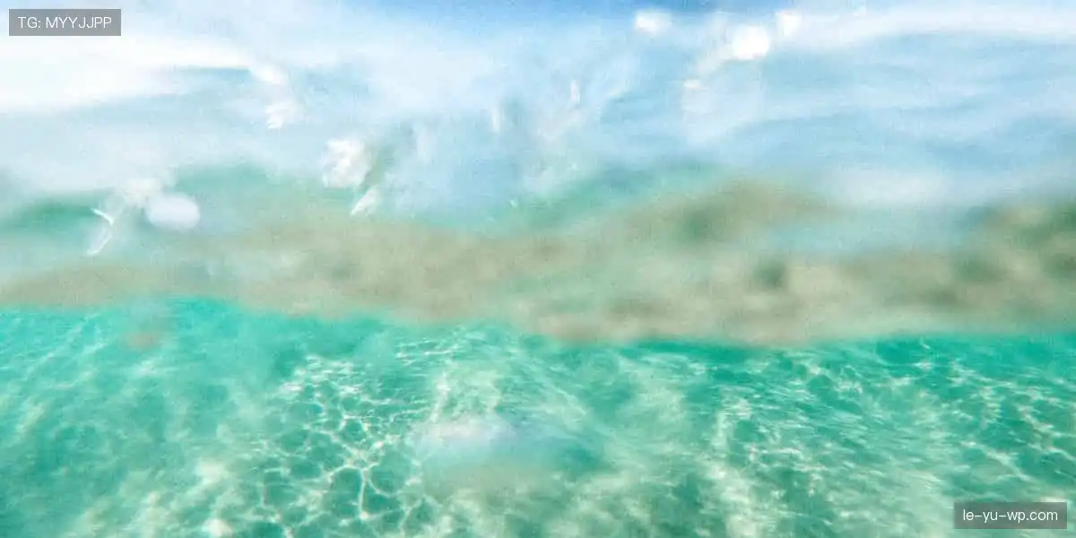 点燃热血，见证每一个传奇时刻！🏆🔥